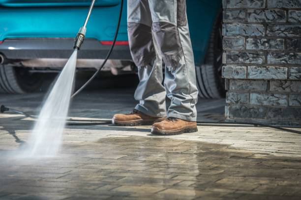 Best Sidewalk and Walkway Cleaning  in Tonka Bay, MN