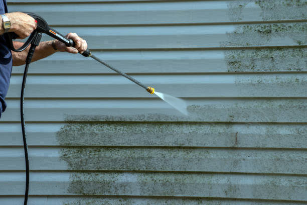 Best House Exterior Washing  in Tonka Bay, MN